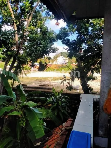 image DISEWAKAN JANGKA PANJANG RUMAH 4 KAMAR LOKASI JALAN UTAMA UNGASAN BADUNG  (4)