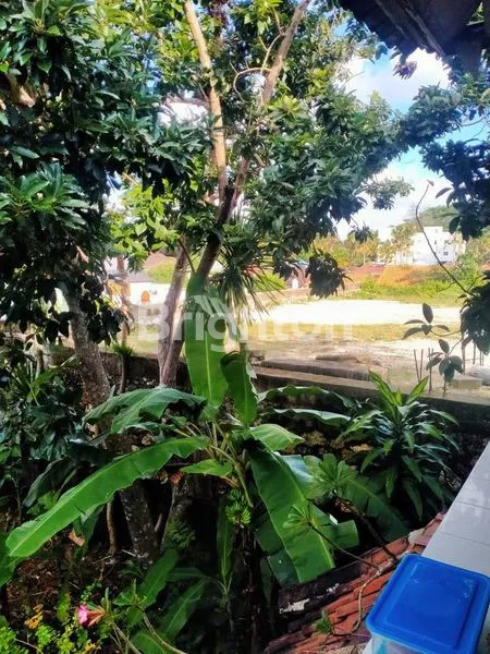 image DISEWAKAN JANGKA PANJANG RUMAH 4 KAMAR LOKASI JALAN UTAMA UNGASAN BADUNG  (6)