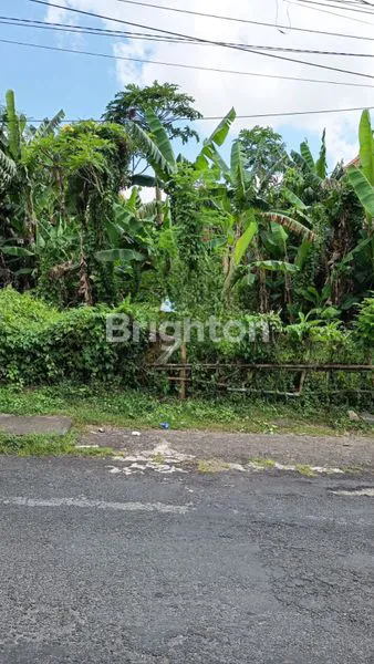 image SEWA TANAH SHM – JL. JAYA PANGUS, PEGUYANGAN KAJA (1)