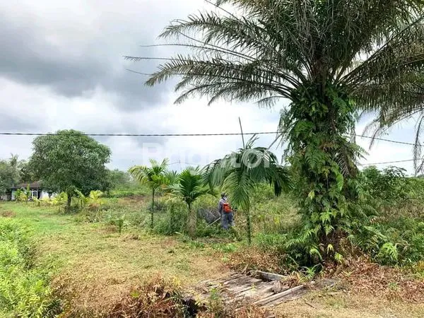 image LAHAN DAN RUMAH UNTUK USAHA DAN INVESTASI (4)