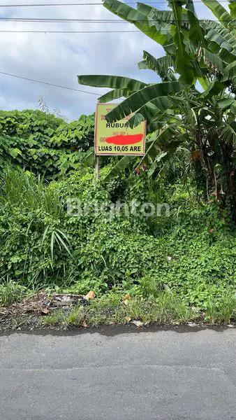 image SEWA TANAH JL DEWI SRI  (4)