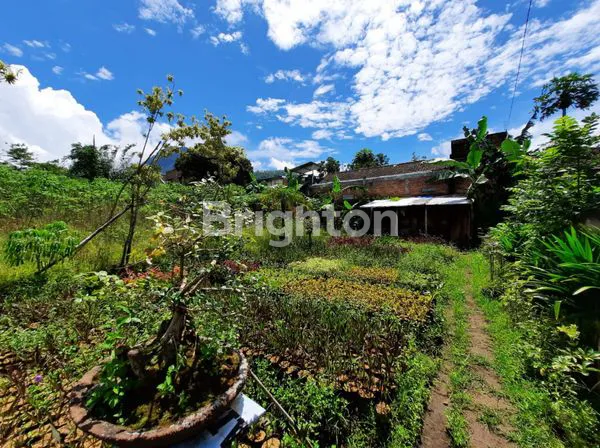 image TANAH LUAS COCOK UNTUK HOTEL/GUES HOUSE, RESTO/CAFé DI ABDUL GANI BAWAH BATU (2)