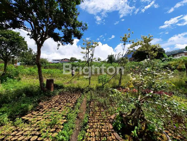 image TANAH LUAS COCOK UNTUK HOTEL/GUES HOUSE, RESTO/CAFé DI ABDUL GANI BAWAH BATU (3)