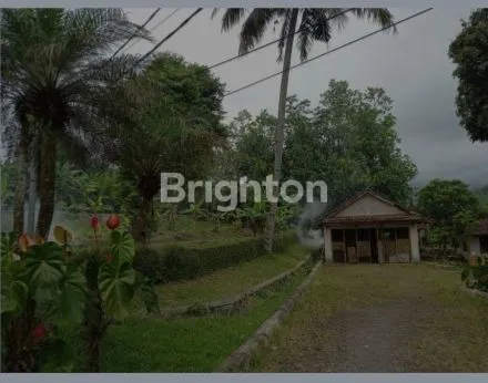 image DI JUAL TANAH DAN BANGUNAN (2)