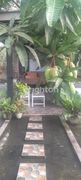image SANGAT COCOK UNTUK MENIKMATI KEINDAHAN ALAM RUMAH SEMI FURNISHED YANG NYAMAN DAN ASRI DENGAN HALAMAN CUKUP LUAS DAN ADA JOGLO DI BELAKANG RUMAH TEMPAT UNTUK BERSANTAI DAN BUAT ACARA INI BERADA DI KISARAN (8)