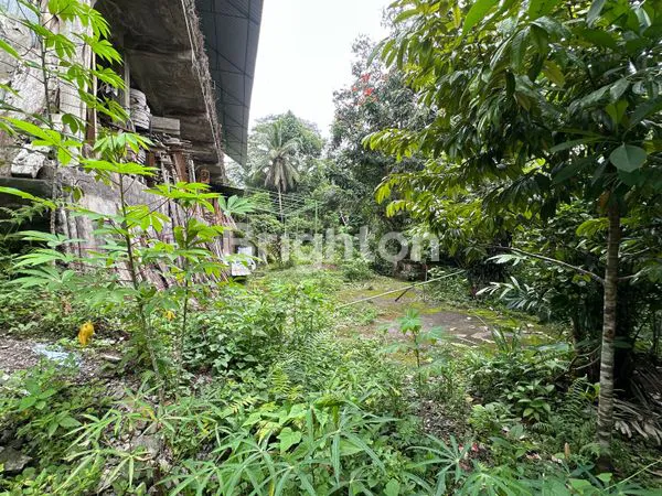TANAH KOMERSIAL DI JALAN UTAMA  TAMPAKSIRING VIEW ASRI GIANYAR