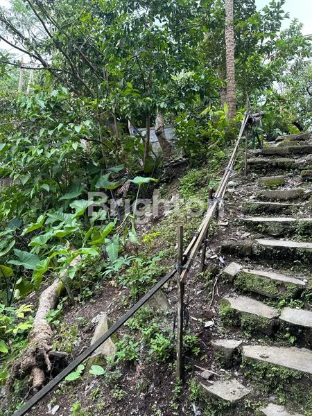 image TANAH KOMERSIAL DI JALAN UTAMA  TAMPAKSIRING VIEW ASRI GIANYAR (2)