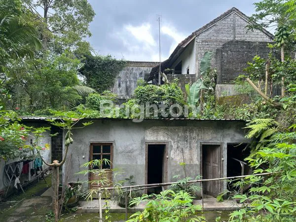 image TANAH KOMERSIAL DI JALAN UTAMA  TAMPAKSIRING VIEW ASRI GIANYAR (3)