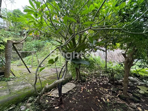 image TANAH KOMERSIAL DI JALAN UTAMA  TAMPAKSIRING VIEW ASRI GIANYAR (5)