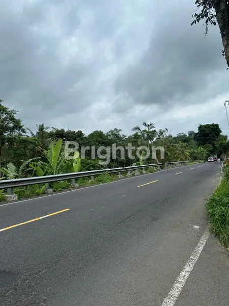 image TANAH KOMERSIAL DI JALAN UTAMA  TAMPAKSIRING VIEW ASRI GIANYAR (8)