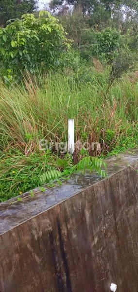 image LAHAN LUAS KAWASAN INDUSTRI (3)