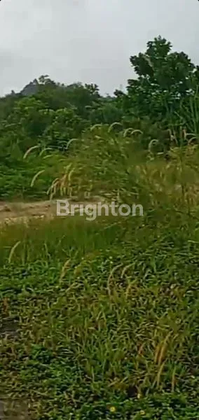 image LAHAN LUAS KAWASAN INDUSTRI (2)