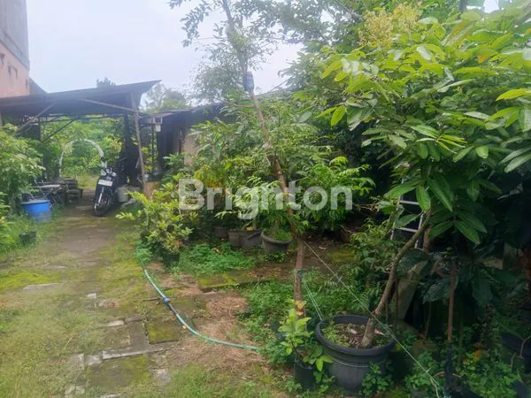 image RUKO DAN KEBUN DI SAMBISARI (2)