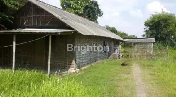 image TANAH PINGGIR JALAN COCOK UNTUK INDUSTRI DAN PERUMAHAN LT. 7.250 M2 DI DUSUN SIDOMORO, SIDOMORO SIDOTOMPO, SUMENGKO, KEC. WRINGINANOM, KABUPATEN GRESIK, JAWA TIMUR  (2)