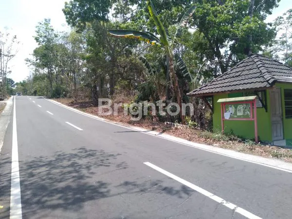 image TANAH STRATEGIS PINGGIR JALAN TURI SLEMAN (3)
