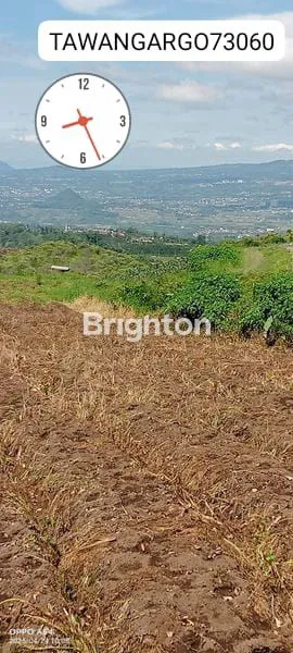 image JUAL TANAH PERTANIAN PRODUKTIF (1)