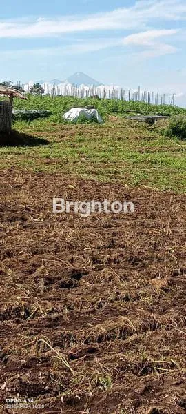 image JUAL TANAH PERTANIAN PRODUKTIF (5)