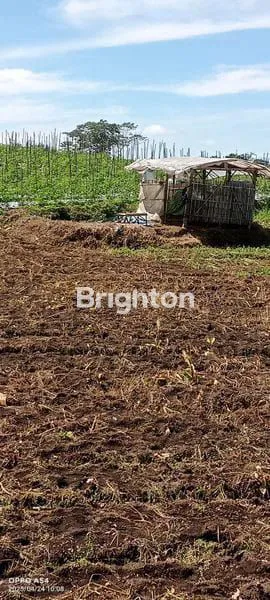 image JUAL TANAH PERTANIAN PRODUKTIF (3)