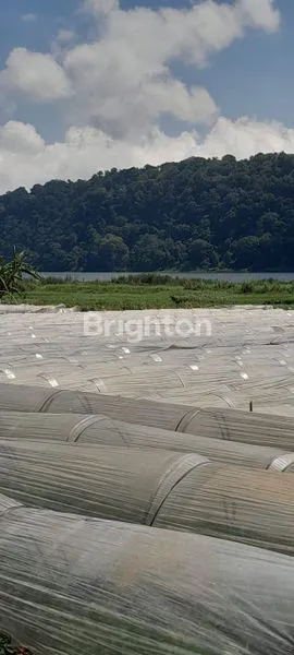 image DIJUAL TANAH PINGGIR DANAU BUYAN 2,2HA – VIEW GUNUNG & DANAU SANGAT INDAH! (2)