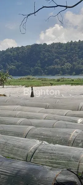 image DIJUAL TANAH PINGGIR DANAU BUYAN 2,2HA – VIEW GUNUNG & DANAU SANGAT INDAH! (3)