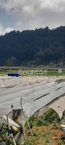 image DIJUAL TANAH PINGGIR DANAU BUYAN 2,2HA – VIEW GUNUNG & DANAU SANGAT INDAH! (4)