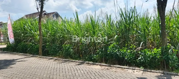 image NEW LISTING – TANAH LUAS DI MALANG LOKASI STRATEGIS - SHM - JARANG ADA! JL MENDALANWANGI, WAGIR (1)