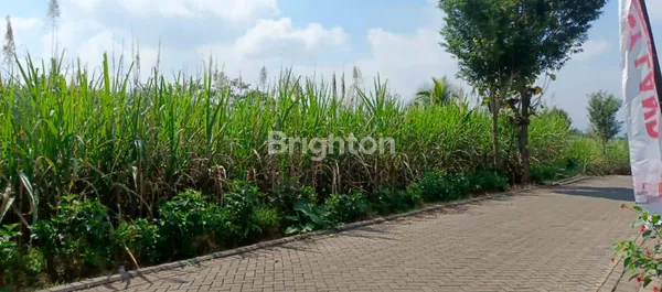 image NEW LISTING – TANAH LUAS DI MALANG LOKASI STRATEGIS - SHM - JARANG ADA! JL MENDALANWANGI, WAGIR (2)