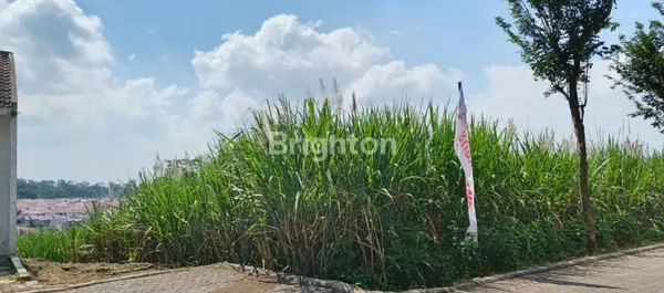 image NEW LISTING – TANAH LUAS DI MALANG LOKASI STRATEGIS - SHM - JARANG ADA! JL MENDALANWANGI, WAGIR (3)