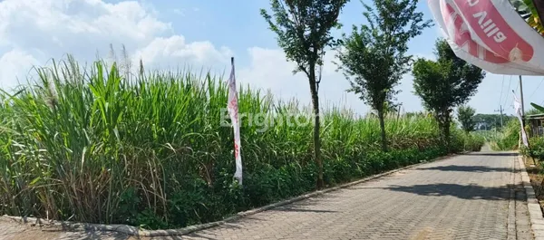 image NEW LISTING – TANAH LUAS DI MALANG LOKASI STRATEGIS - SHM - JARANG ADA! JL MENDALANWANGI, WAGIR (5)