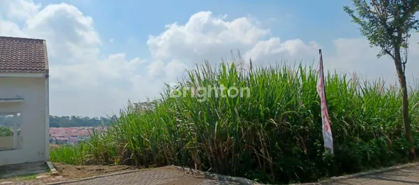 image NEW LISTING – TANAH LUAS DI MALANG LOKASI STRATEGIS - SHM - JARANG ADA! JL MENDALANWANGI, WAGIR (7)