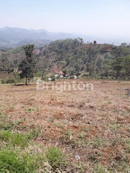 image TANAH LUAS 23.839 M² DI SOREANG, COCOK AGRIKULTUR (1)