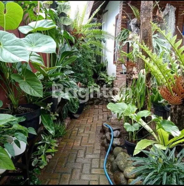 image RUMAH VILLA ASRI DI PACET KAB BANDUNG (4)