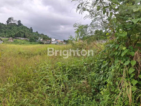 image TANAH LUAS 13.000M² DI SAMARINDA, DEKAT SUNGAI MAHAKAM (3)
