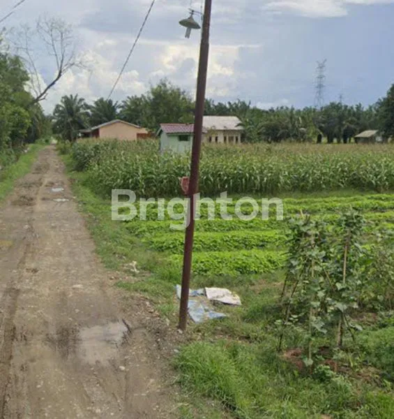 image TANAH STRATEGIS 4200M² DEKAT TOL BINJAI, AKSES MUDAH (3)