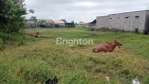 image SEWA TANAH PREMIUM – LOKASI PULAU MOYO\\U2728\\N (1)