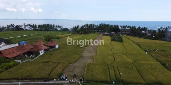 image TANAH LUAS 1200M², LOKASI EKSKLUSIF DEKAT PANTAI (2)