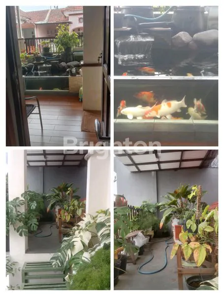 image DIJUAL RUMAH (2)