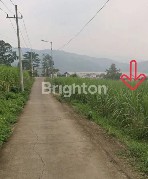 image TANAH SHM 28.000M², AKSES TRUK & LISTRIK, MOJOKERTO (3)