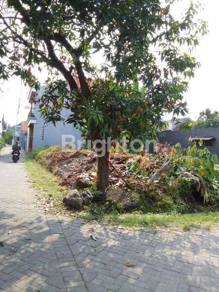 image TANAH DIJUAL (1)