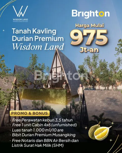 image WISDOM LAND (1)