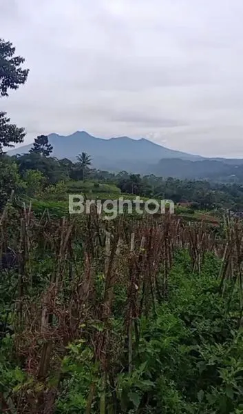 image TANAH STRATEGIS 11.360M² DI SUKABUMI, COCOK VILLA & INVESTASI (3)