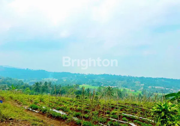 image TANAH STRATEGIS 11.360M² DI SUKABUMI, COCOK VILLA & INVESTASI (2)