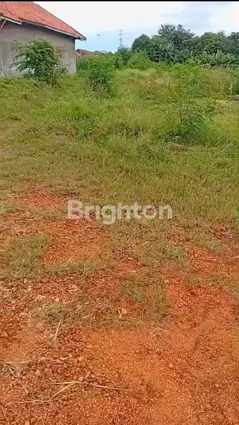 image TANAH LUAS DI MAJALAENGKA (3)