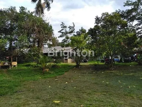 image INVESTASI TANAH KEBUN LUAS ZONA HIJAU SUDAH PAGAR KELILING (1)