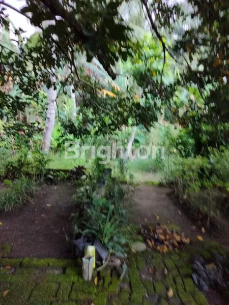 image HUNIAN NYAMAN 3 KT, TANAH LUAS, SHM DI BINJAI (6)