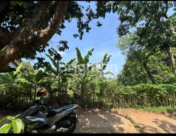 image TANAH POTENSIAL DI CILEUNGSI 3.150 M² – IDEAL UNTUK USAHA & HUNIAN (3)