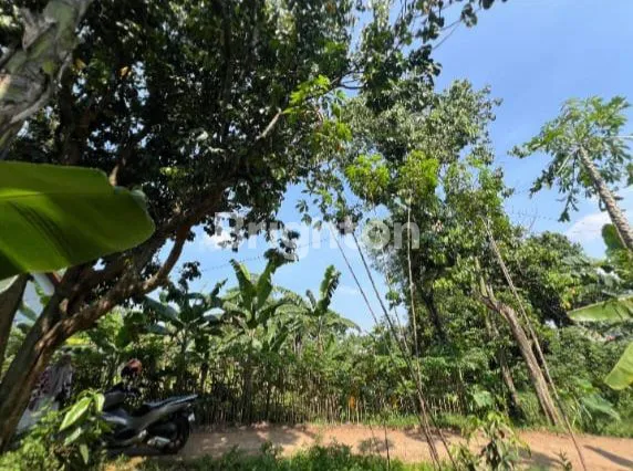 image TANAH POTENSIAL DI CILEUNGSI 3.150 M² – IDEAL UNTUK USAHA & HUNIAN (2)