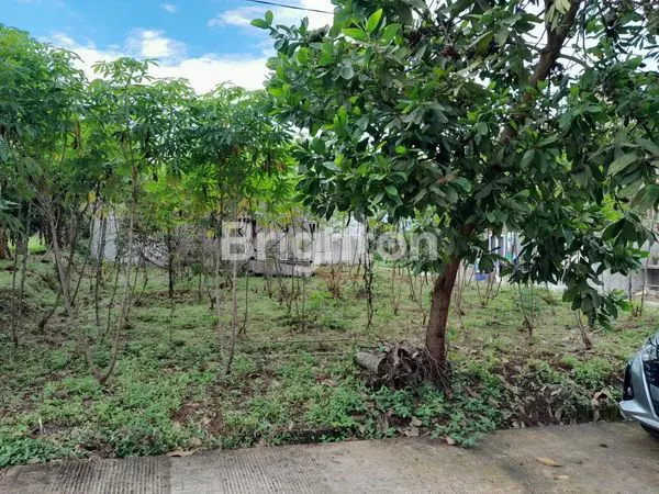 image TANAH KEBUN PRODUKTIF VIEW GUNUNG COCOK UNTUK VILLA PRIBADI (2)