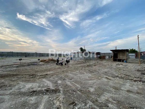 image CBD HELVETIA\NJL VETERAN (6)