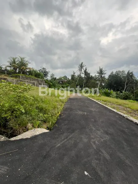 image DIJUAL TANAH KAPLING PREMIUM BLUMBUNGAN DARMASABA ABIANSEMAL BADUNG (2)